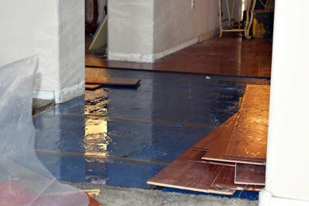 Professional Burst Pipe Cleanup technician working in Farmville, NC